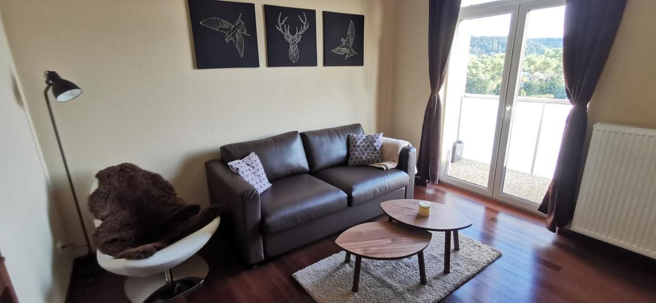 Moser Apartment Carlsbad カルロヴィ・ヴァリ エクステリア 写真