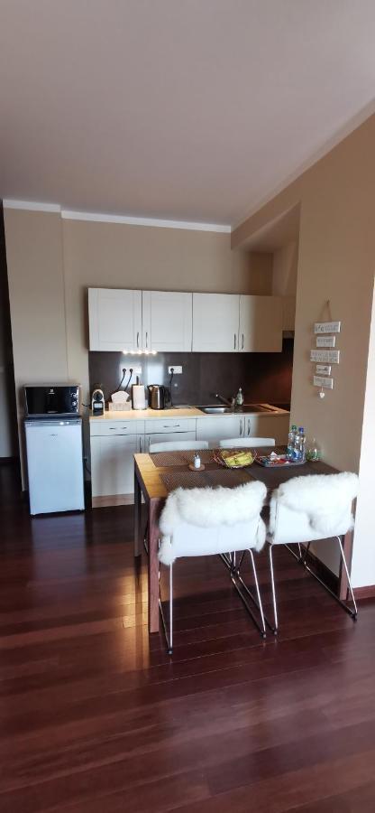 Moser Apartment Carlsbad カルロヴィ・ヴァリ エクステリア 写真